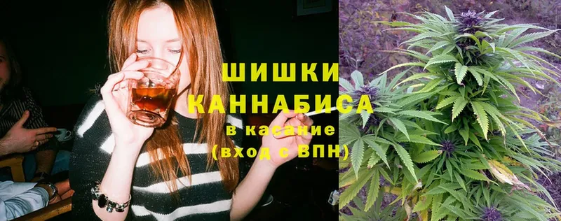 наркота  Камышлов  Канабис Amnesia 